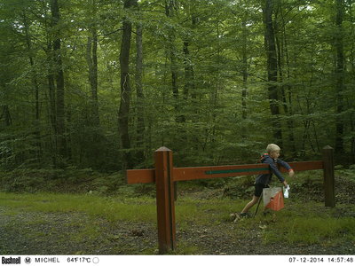 Dur ...Dur ... la CO