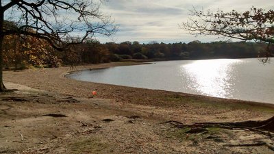 EtangLDOrleans08nov2015.jpg