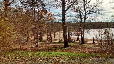 EtangLDOrleans08nov2015_2.jpg